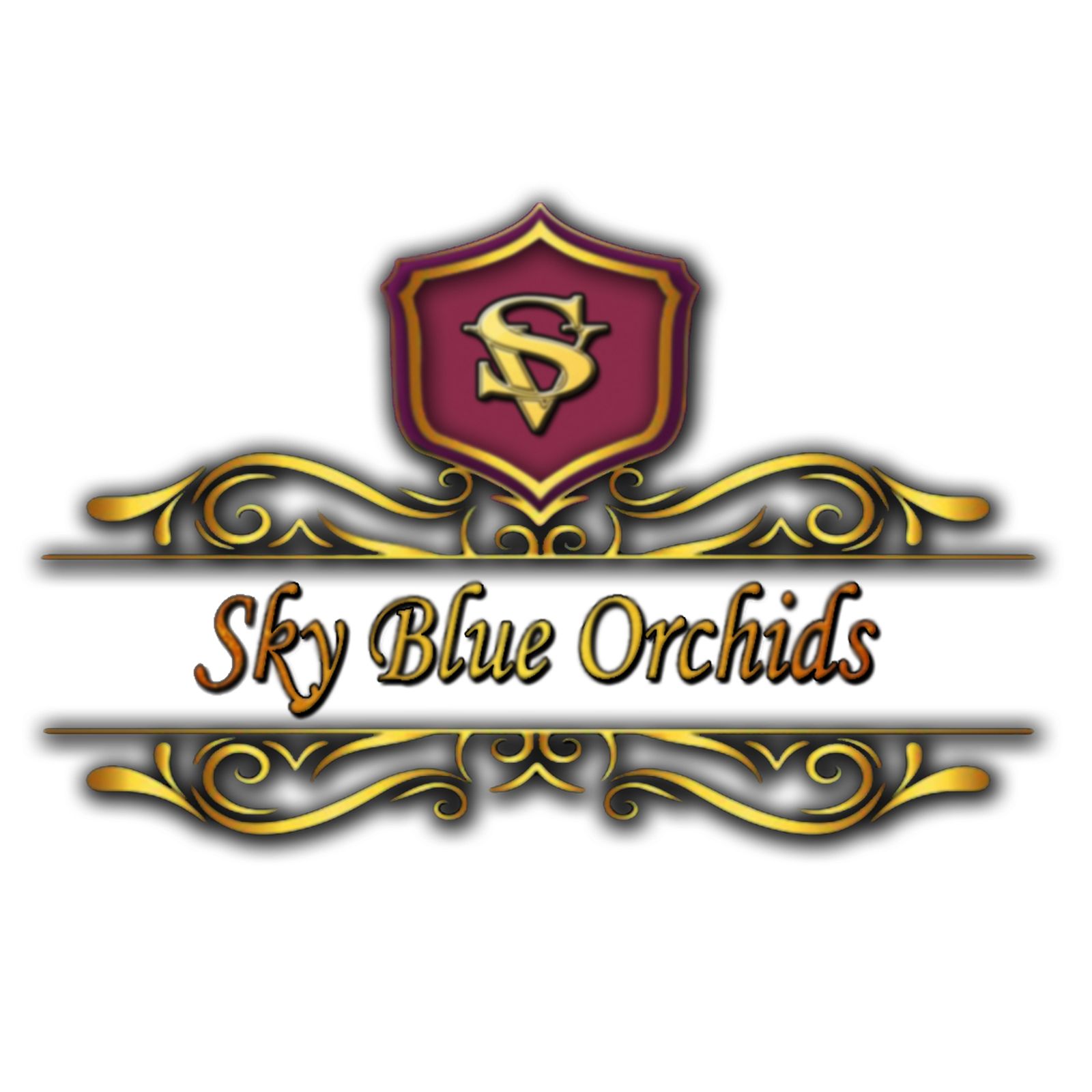 Sky Blue Orchids